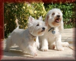 AJ and Reese